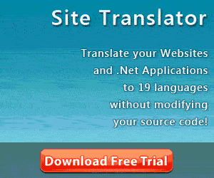 Site Translator