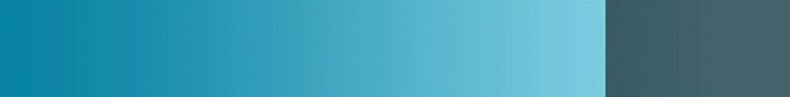 Site Translator