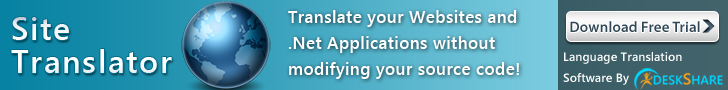 Site Translator