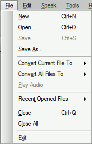 File Menu - English