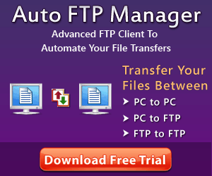 Auto FTP Manager