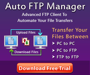 Auto FTP Manager