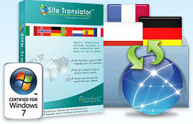 professional translation software