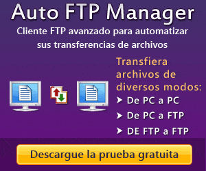 Auto FTP Manager
