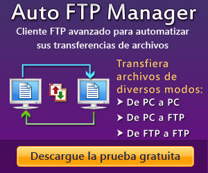 Auto FTP Manager